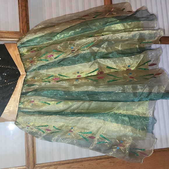 Disney's Princess Anna dress - Picture 4 of 12